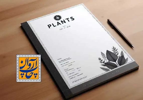 سربرگ و تاثیر آن در توسعه کسب و کار