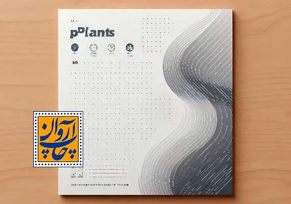 چرا فاکتور باید سربرگ داشته باشد؟